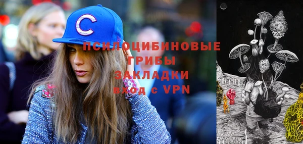 прущие крисы Алексин
