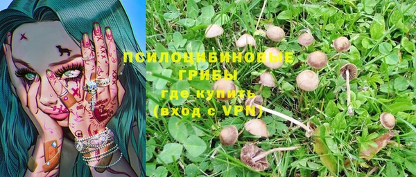 ГАЛЛЮЦИНОГЕННЫЕ ГРИБЫ Армянск