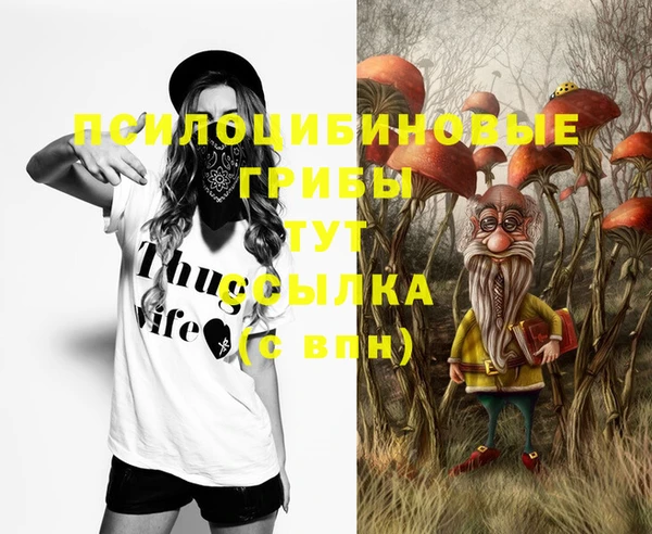 МДПВ Арсеньев