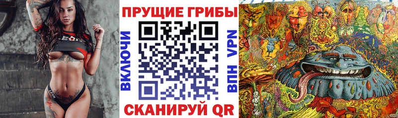 Псилоцибиновые грибы Psilocybine cubensis  МЕГА зеркало  Джанкой 